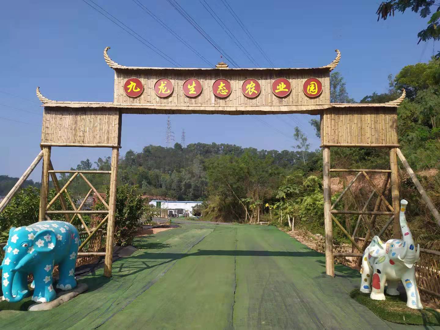 1575600050254587.jpg